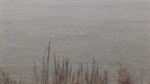 Memphis bridge 2 Stock-Footage 538158