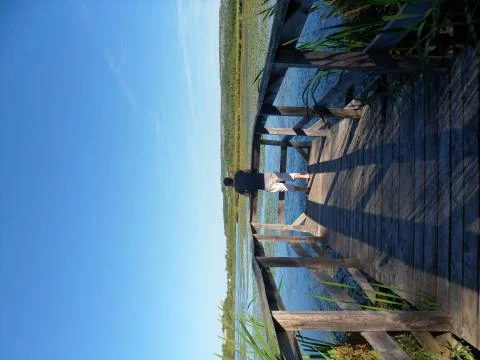 Men admiring view from a small footbridge by a pond during fall, Quebec, Canada Stock Photos