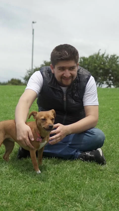 Men and dog Video stock 213723425