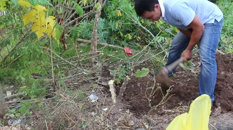 Men and hoe Stock Footage 58625922