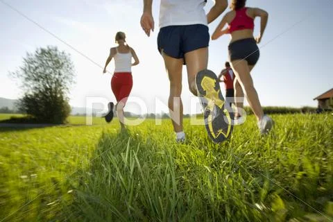 Men and women jogging. Stock Photos