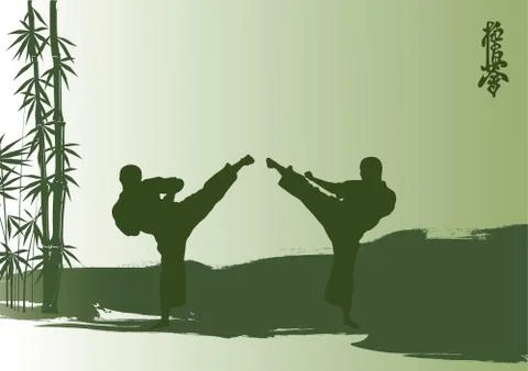 Men are engaged karate. Stock Illustration