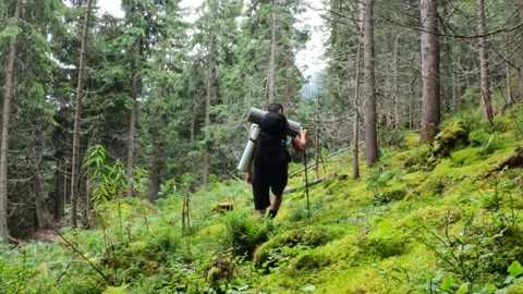 Men With Backpack Hiking Trough Green Dense Forest Stock Footage