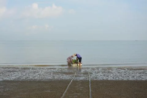 Men on the beach preparing for sailing Stock Photos