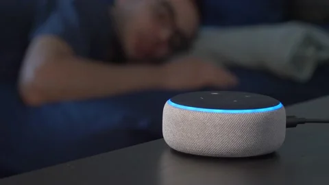 Men in Bed Giving a Voice Command To The Smart Speaker Stock Footage 136673898