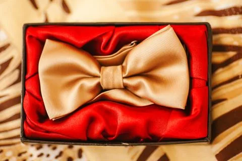 Men bow-tie in box with red. Golden silk accessory Foto stock