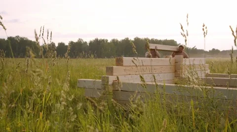 Men build a blockhouse of beams Stock Footage 44448989