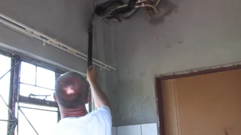 Men carefully handle a massive African rock python From house Indoor Ceilin.. Stockbeeldmateriaal 332948452