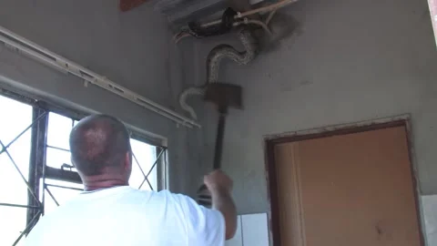 Men carefully handle a massive African rock python From house Indoor Ceilin.. Stockbeeldmateriaal 333486980