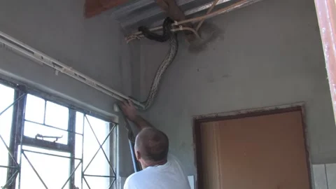 Men carefully handle a massive African rock python From house Indoor Ceilin.. Stock-Footage 333721701