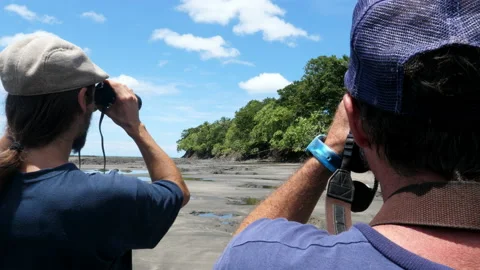 Men in the Caribbean doing bird watching Stock Footage 100087775
