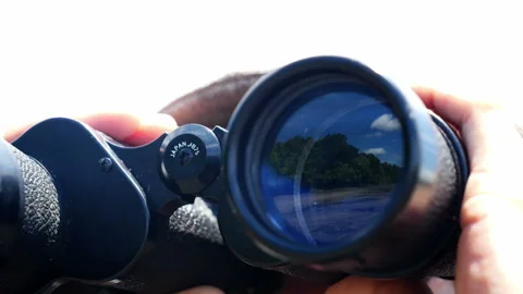 Men in the Caribbean doing bird watching Stock Footage 100091125