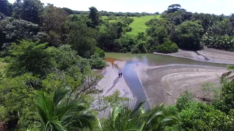 Men in the Caribbean doing bird watching aerial drone view Stock Footage 100091292