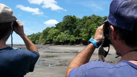 Men in the Caribbean doing bird watching Stock Footage 100091488