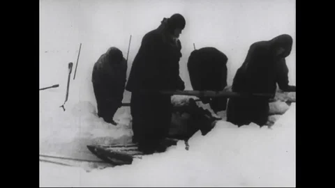 Men carry death seal, loading on snow cart and pulled by tractor - 1933-1935 Stock Footage 98561029