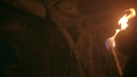 Men in cave primitive world torch prehistoric age Video stock 278822575