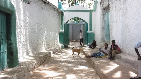 Men chewing khat in Harar, Ethiopia Stock Footage 128761305