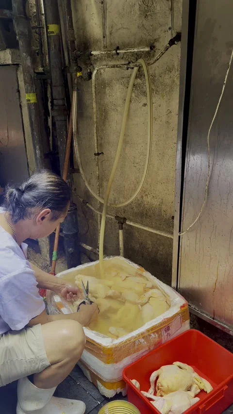 Men cleaning Chicken Stock Footage 316358058