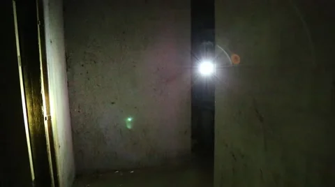 Men clearing hallway with flashlights during antiterrorism drill at night (HD) Video stock 58181479