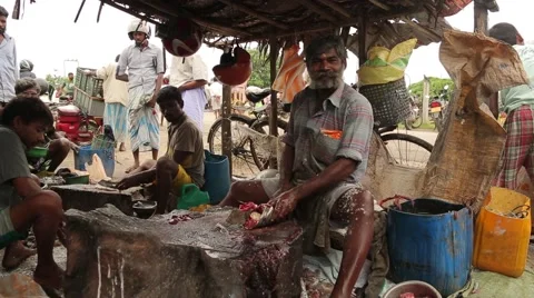 Men cutting fish and working in Sri Lanka Stock Footage 49365936