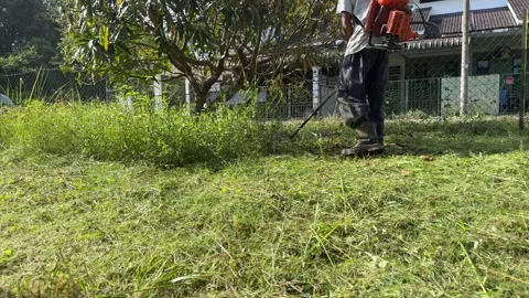 Men cutting grass using grass cutter Stock Footage 328486489
