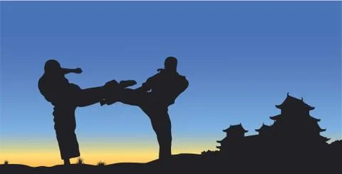 Men demonstrate karate. Stock Illustration