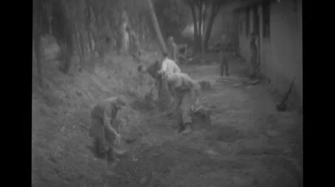 Men digging field Stock Footage 36419355