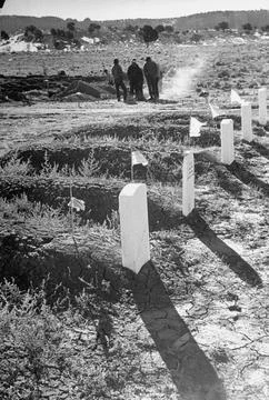 Men digging plots for more burials., Arkansas, USA 스톡 사진