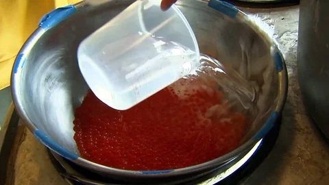 Men extract fish eggs from fish at the Spring Creek National Fish Hatchery, 2016 Video stock 115384887