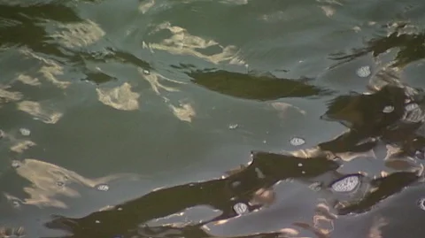 Men with Fish Nets at Milltown Dam, Montana Stock Footage 93056894