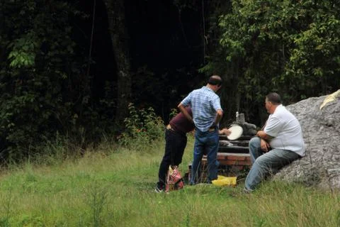 Men in the Forest Stock Photos