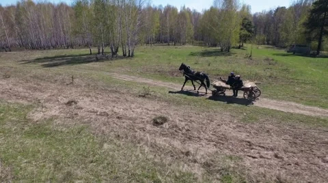 Men go to the horse carts in woods Stock Footage