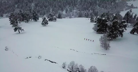 Men go skitour in deep snow forest Video stock 85090968