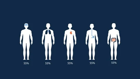 Men Graphs 2 Stock Footage 106585463