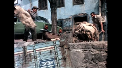 Men Handling Wool Stock Footage 278100868