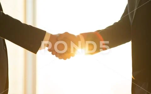 The men handshake on the sunny background Stock Photos