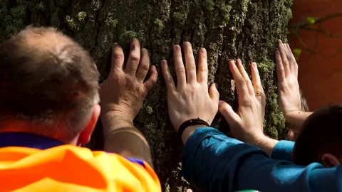 Men Hold Hands by Big Tree, Perform Ritual Stock Footage 257973475