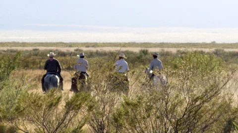 Men on Horseback Stock Footage 98908031