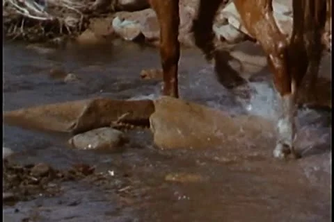 Men on horseback riding through mountain stream Stock Footage 25207113