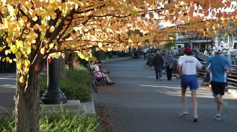 Men jogging in the fall Stock Footage 30119554
