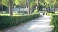 Men jogging at park HD Footage