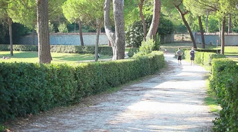 Men jogging at park  Stock Footage 8567669