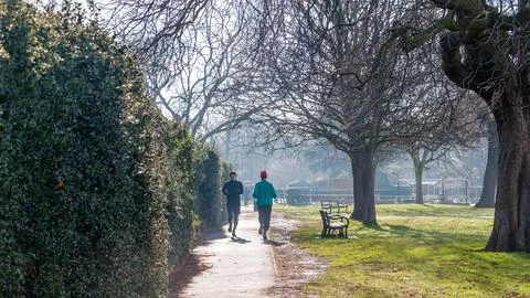 Men jogging in a park Stock Photos