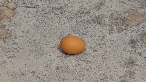 Men keeping egg. Stock Footage 88232630