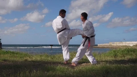 Men Kicking Punching Fighting During Combat Sport Karate Simulation Stock Footage 70483580