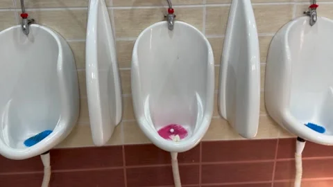 Men latrine Stock Footage 323103328