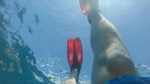 Men legs in flipper underwater Video stock 168366311