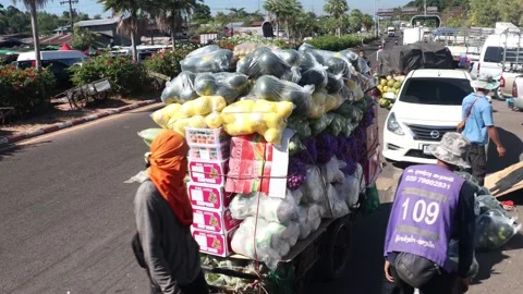 Men load fruit onto a wheelbarrow at the Chong Mek border crossing with Laos Stock Footage 304526842