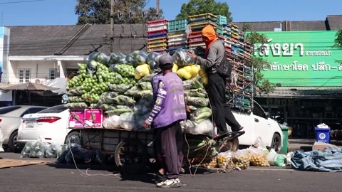 Men load fruit onto a wheelbarrow Video stock 307979595