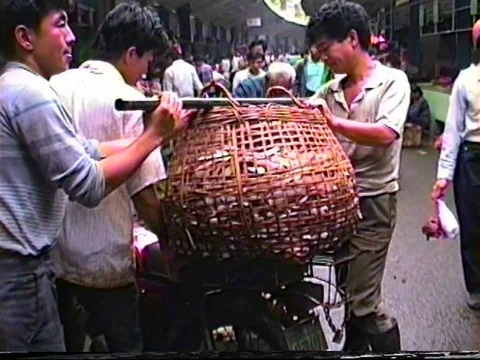Men loading basket of meat onto scooter in open market in Guangzhou 1990 Видео 71836284